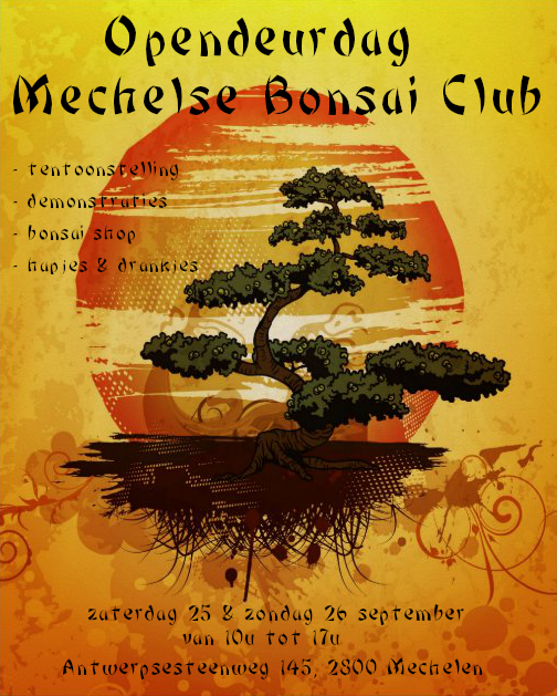 Opendeurdag Mechelse Bonsai Club