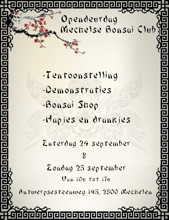 Opendeurdag Mechelse Bonsai Club