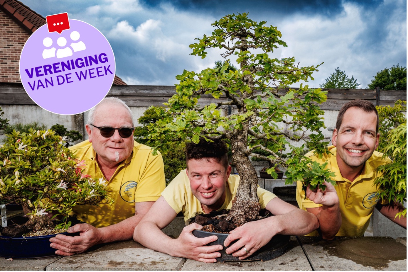 Bonsai in de krant